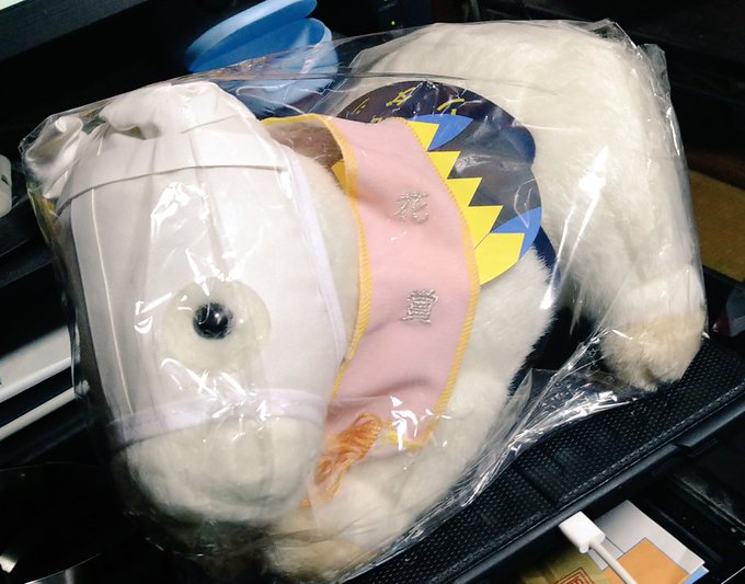 ソダシ桜花賞ぬいキターーーーー!!!かわいいいいいいいいいいいい!!! 