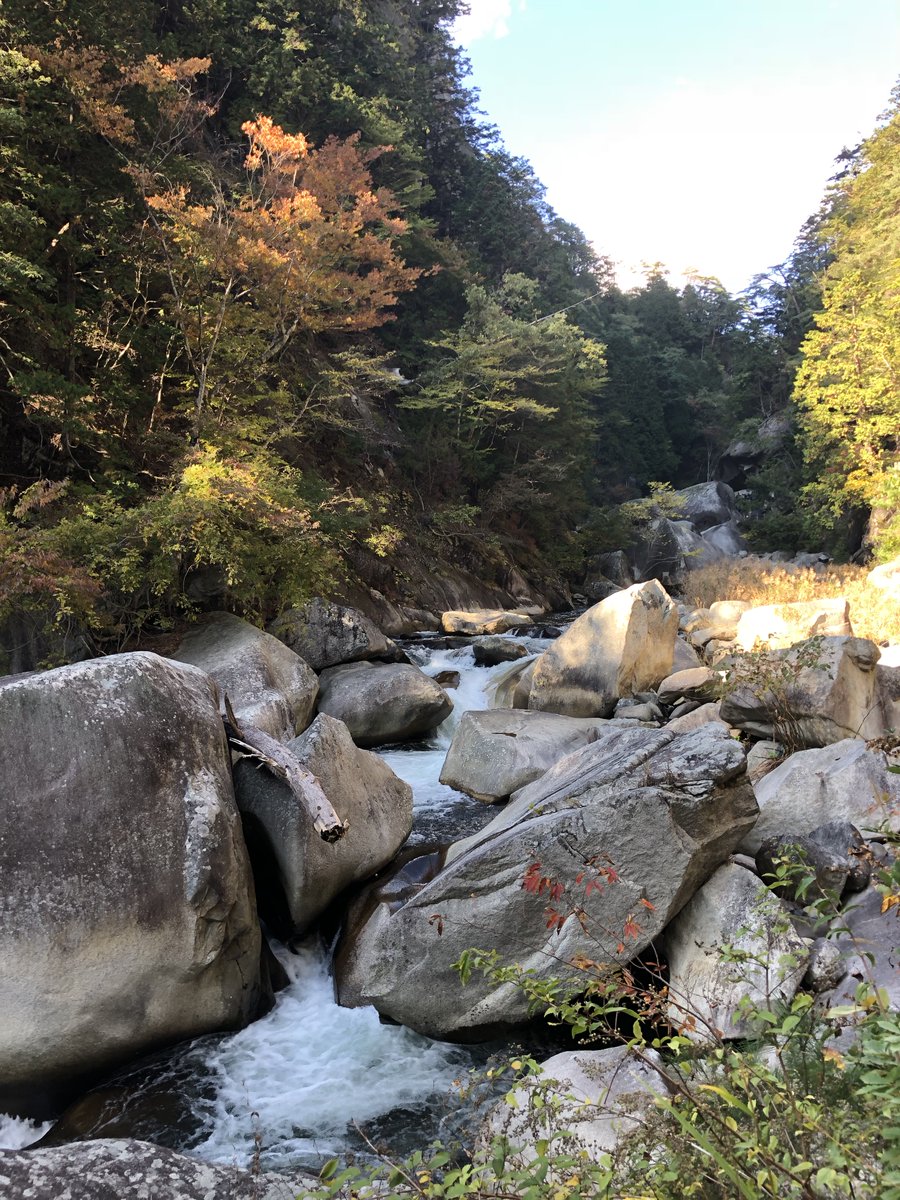 TeraBox_Japan's tweet photo. 最近急に冷えてきましたね！🌝
秋も中盤にさしかかり、紅葉を楽しむ季節になりました🍁
みなさん、どちらに紅葉を見に行きますか？✨

#紅葉 https://t.co/6MeajK9DC4