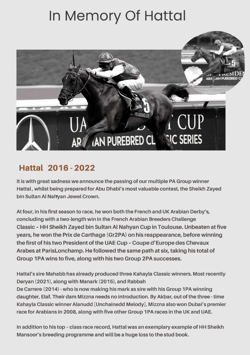 WathbaStallions's tweet photo. It is with great sadness that we announce the passing of the remarkable Group winner Hattal. https://t.co/O9ilOk6QUD