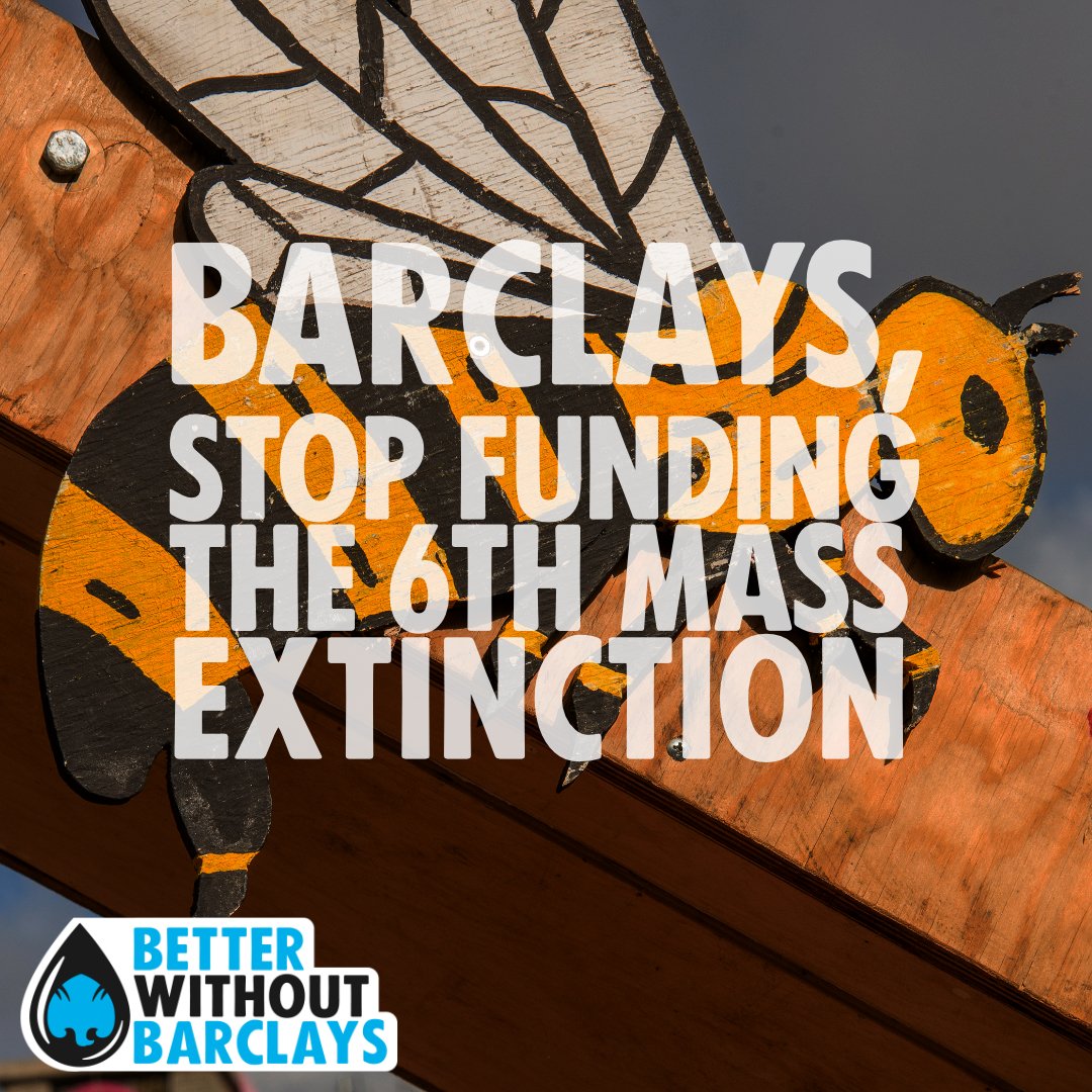 PatSquires's tweet photo. .@BarclaysUK ⚠️This is an intervention⚠️ Stop financing offshore gas companies which are disrupting marine life and contributing to the 6th mass extinction. #BetterWithoutBarclays
https://t.co/bwmuicBv9c