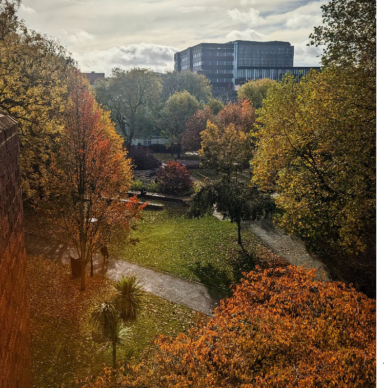 ManMetUni's tweet photo. Autumn days at Manchester Met 😍 https://t.co/eWcv4j2W57