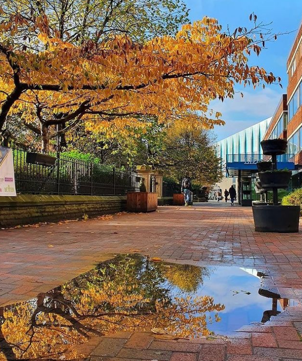 ManMetUni's tweet photo. Autumn days at Manchester Met 😍 https://t.co/eWcv4j2W57