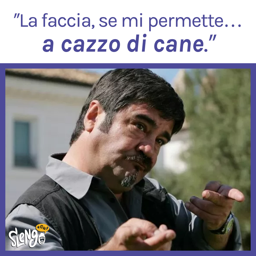slengo_it's tweet photo. Sono tornati! 
Ma prima del binge watching di #Boris4, ripassiamo un po' di fondamentali su Slengo:
#acazzodicane: https://t.co/HxZrIN3Her

#bingewatching #boris #stagione4 #slengo https://t.co/erSzxtrZ5W