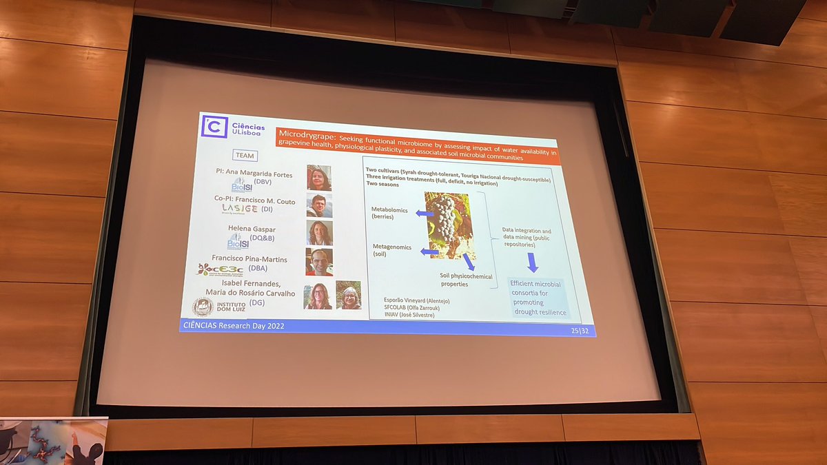 cienciasulisboa's tweet photo. Scientific Project Awards @ Ciências ULisboa

#ResearchDay22

On the Road to Excellence ! https://t.co/WpPgoHKWgD