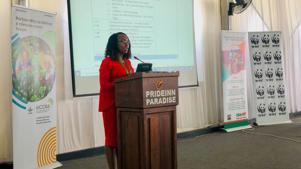 CGIARAfrica's tweet photo. Opening remarks by partner co-hosts in @WWF_Kenya, @KenyaCsaMsp, @ASARECA, and @SNV_Kenya emphasized the need for sharing evidence and innovations among actors toward influencing gender-responsive and socially-inclusive policy implementation and reforms in🌍.
#ClimateSmartAfrica https://t.co/BlEcfLGq7w