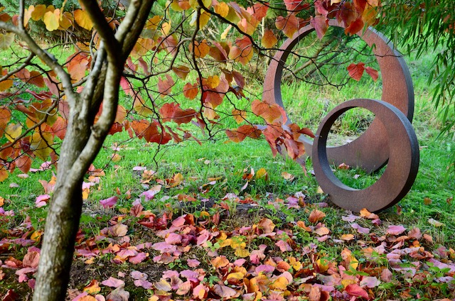 Garden_Notes's tweet image. Reges Tierleben und bunte Blätter im Wilden Garten: wildgardening.de