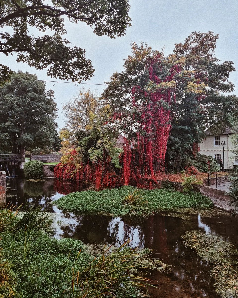 Thanks, aroundkent_ on Instagram for allowing us to reshare your photo capturing the beautiful #autumn season. Can anyone tell us where this #picture was taken?