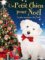 merlinpapin3's tweet photo. .@FredOL69007 On souhaite un Bon Anniversaire à #BryanCraig qui a 31 ans , on peut le voir dans
Valor
Grand Hôtel
Un Petit Chien pour Noël
Ride https://t.co/vAM7DYCXKM