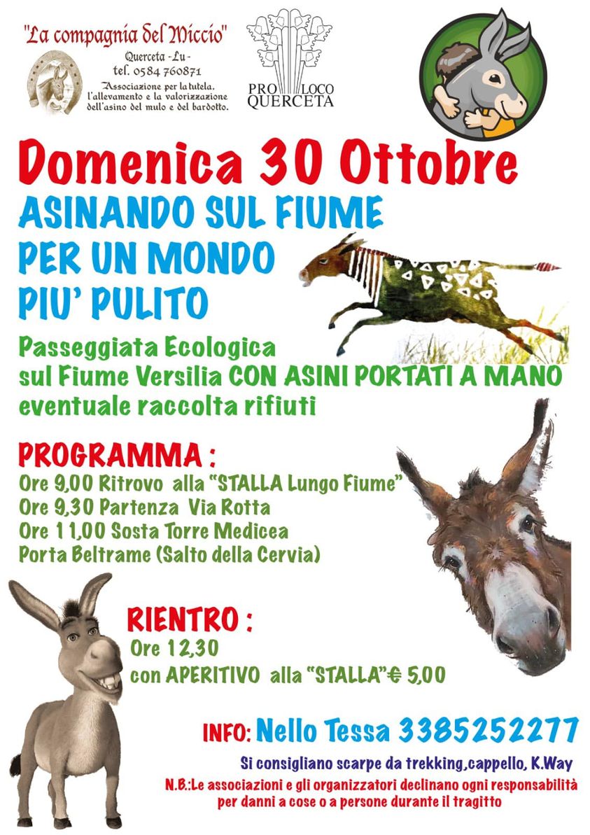 Una passeggiata per un mondo più pulito e per tutte le età, non mancate!