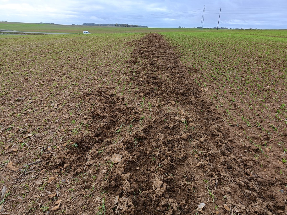 Ludovic Segault tweet media