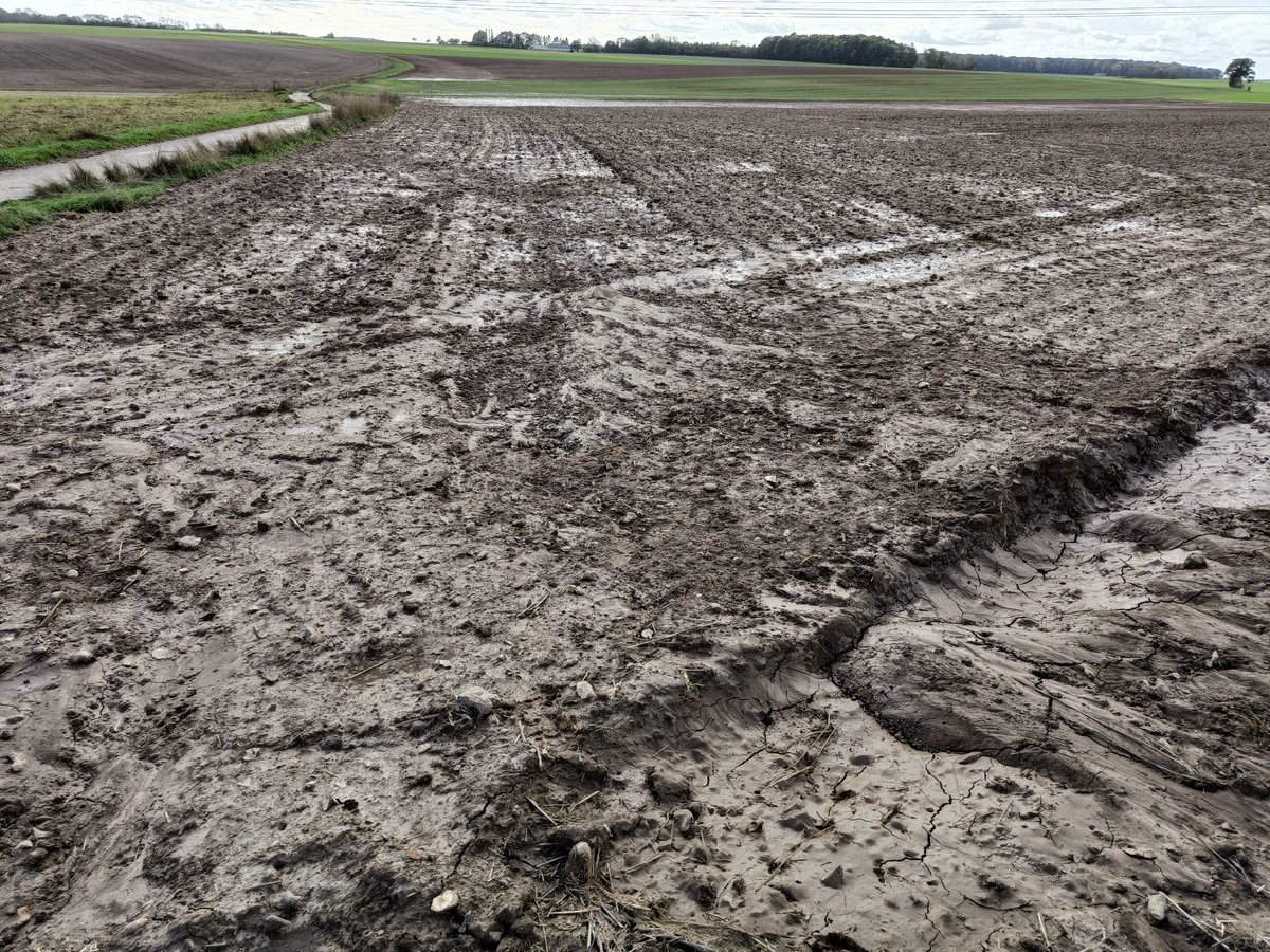 Ludovic Segault tweet media