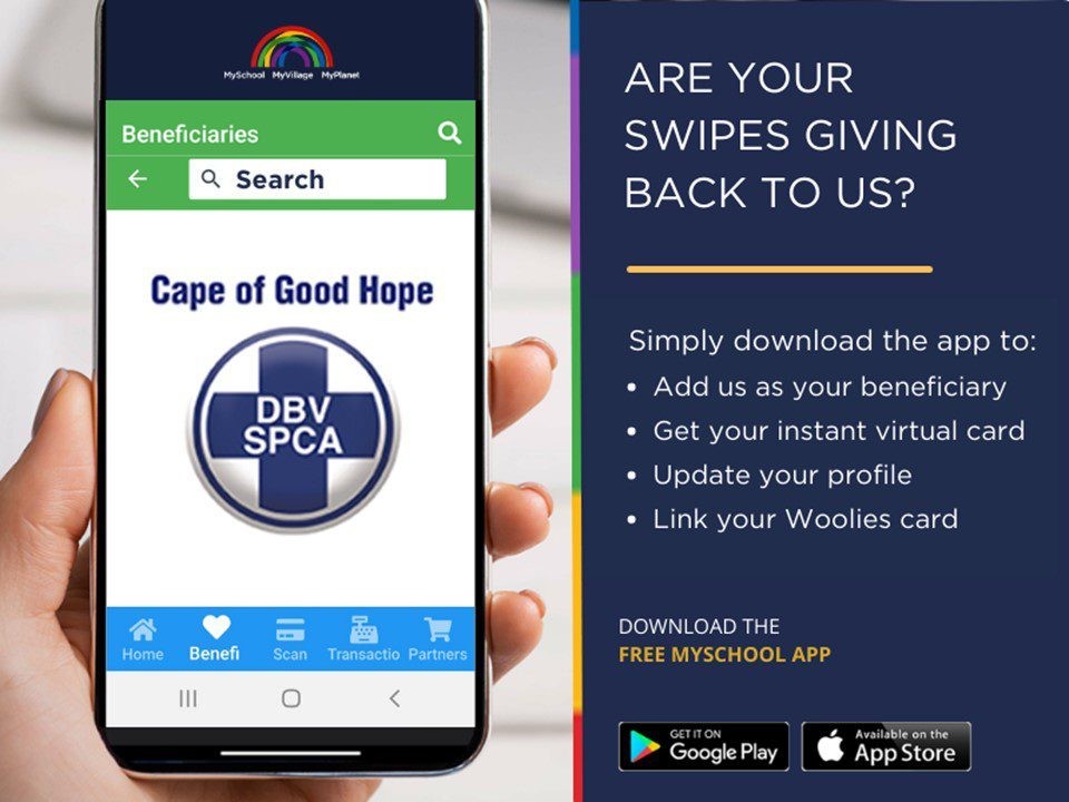 capespca's tweet photo. Join MySchool MyVillage MyPlanet
Add us as one of your causes
Swipe your MySchool MyPlanet MyVillage card at any Partner
#animalwelfare #animalsafety #animalcruelty #EverySwipeCounts #MakeADifference #25YearsofImpactWithMySchool https://t.co/McWiTiBOpQ