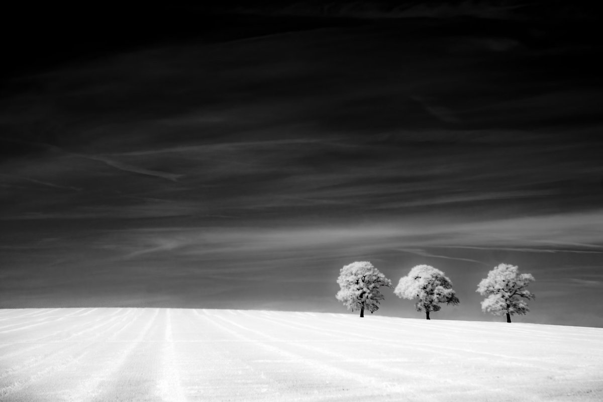ImagesbyDA's tweet photo. Three Trees.
 
#essex #essexlife  #picoftheday #essexphotographer #photography #essexcounty  #longexposure #bnw #blackandwhite #blackandwhitephotography #bnwphotography #bnwmood #irphoto #irphotography #infrared #infraredphoto #infraredphotography #infrared_images #ir860nm https://t.co/q03YhBkgDt