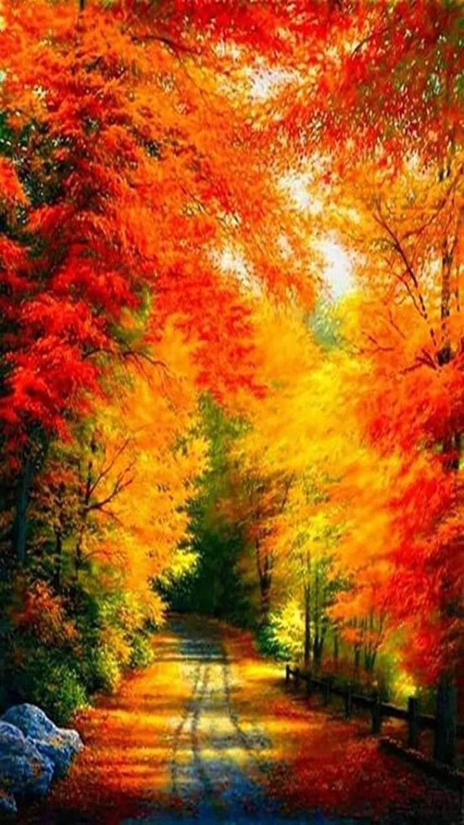 -Summer said in shades of blue,
“Let me be young a few days more.”

“Walk forward, “Autumn whispered.
There’s a colorful horizon to 
explore.”
~Angie Weiland-Crosby

#26ottobre 
#BuongiornoATutti 🎶
#HappyWednesday y’all 🍂🔆🍂
