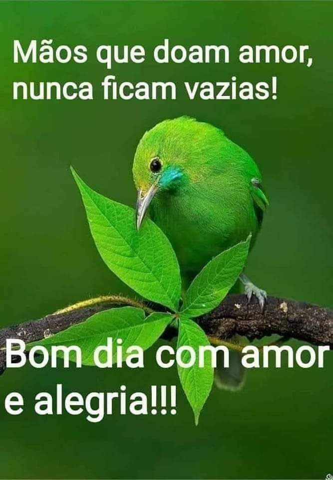 mabarcelosap's tweet photo. Bom dia amigos e amigas do tt!!! "Senhor Deus...cubra nosso dia de bençãos e nossa vida de amor e paz. Nos fortaleça Senhor para vivermos esse dia vencendo e agradecendo a TI pelas conquistas que estão por vir em nossas vidas". Deus seja sempre louvado!!! 🙏
#FechadoComBolsonaro https://t.co/OR4Sxn8cYw