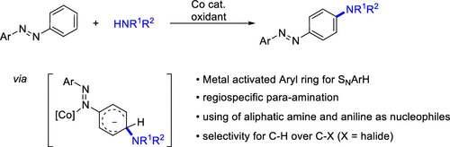 In this week's group meeting, Elena has told us about "Cobalt-Catalyzed Regioselective para-Amination of Azobenzenes via Nucleophilic Aromatic Substitution of Hydrogen", published in <a href="/JOC_OL/">J Org Chem/Org Lett</a> by Weiping Su and co-workers. Really cool stuff!

pubs.acs.org/doi/abs/10.102…