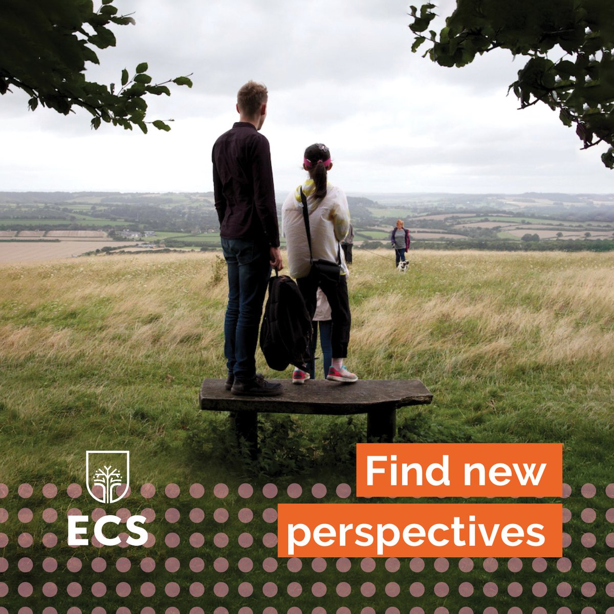 We love outdoor play and learning and get out as much as possible on our summer courses! #OutdoorClassroomDay 🌳

Getting outside is energising, good for our physical and mental wellbeing, and helps us reconnect with our world 💚 #GreenLanguageTeaching 

#LearnEnglish #GreenELT