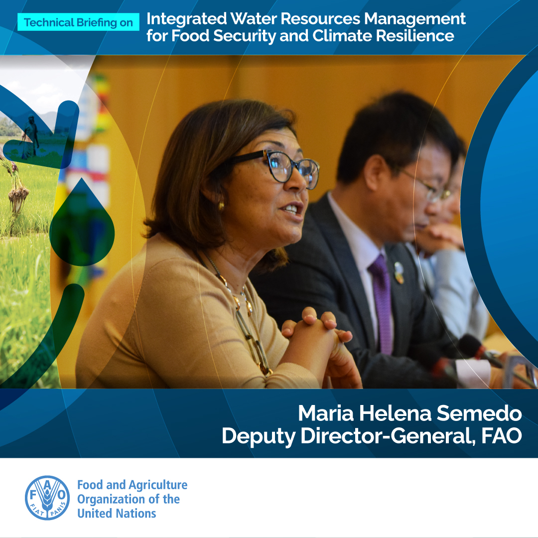 FAO Land and Water on Twitter "“The agricultural sector must play an