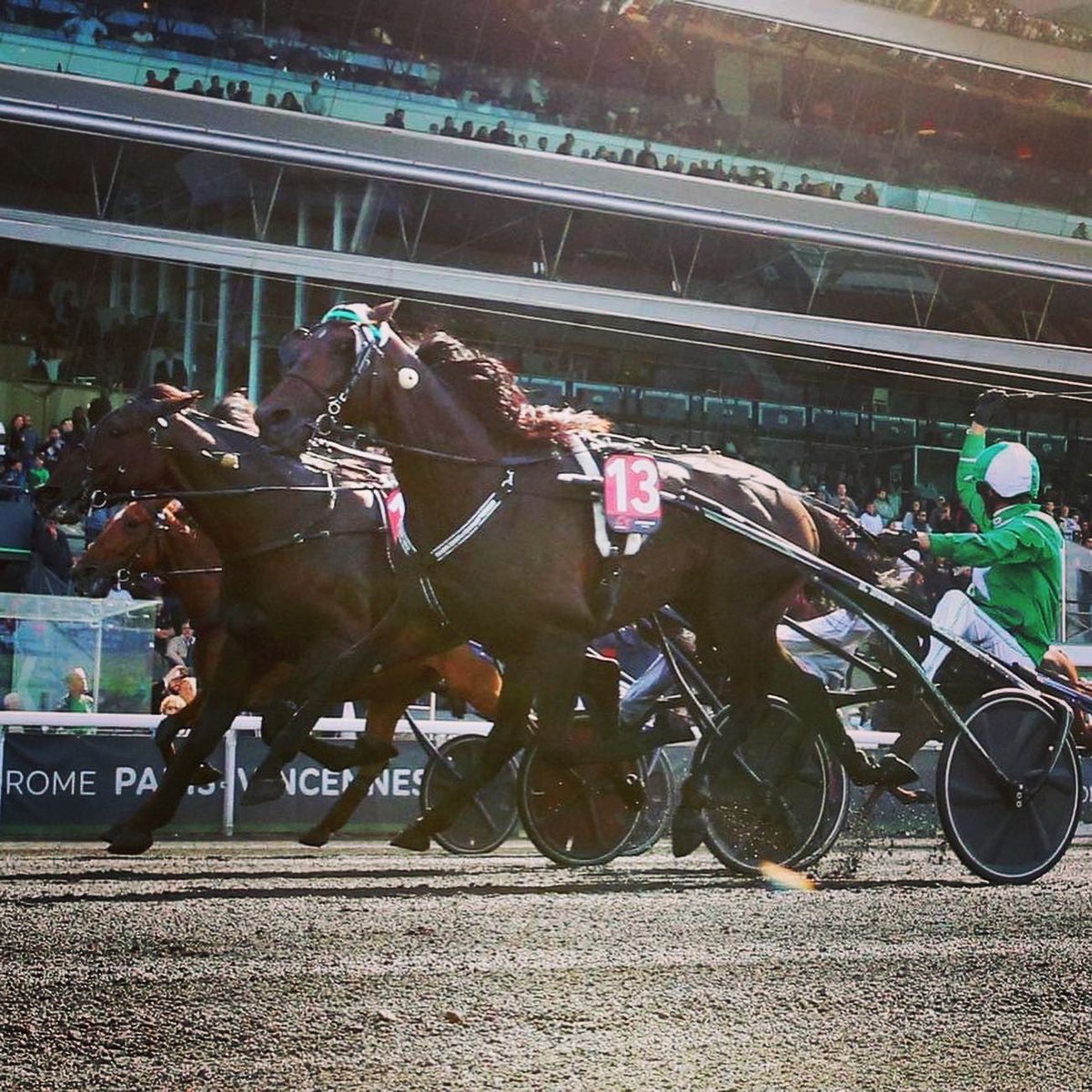 HussardDLandret's tweet photo. 🌟 Critérium des 5 ans 🌟#benoitRobin #champion #victoire #vincennes #letrot #equidia #etalon #genesdiffusion #baby #elevage #HorseRacing #Horses #horselover https://t.co/KTxv98BcBY