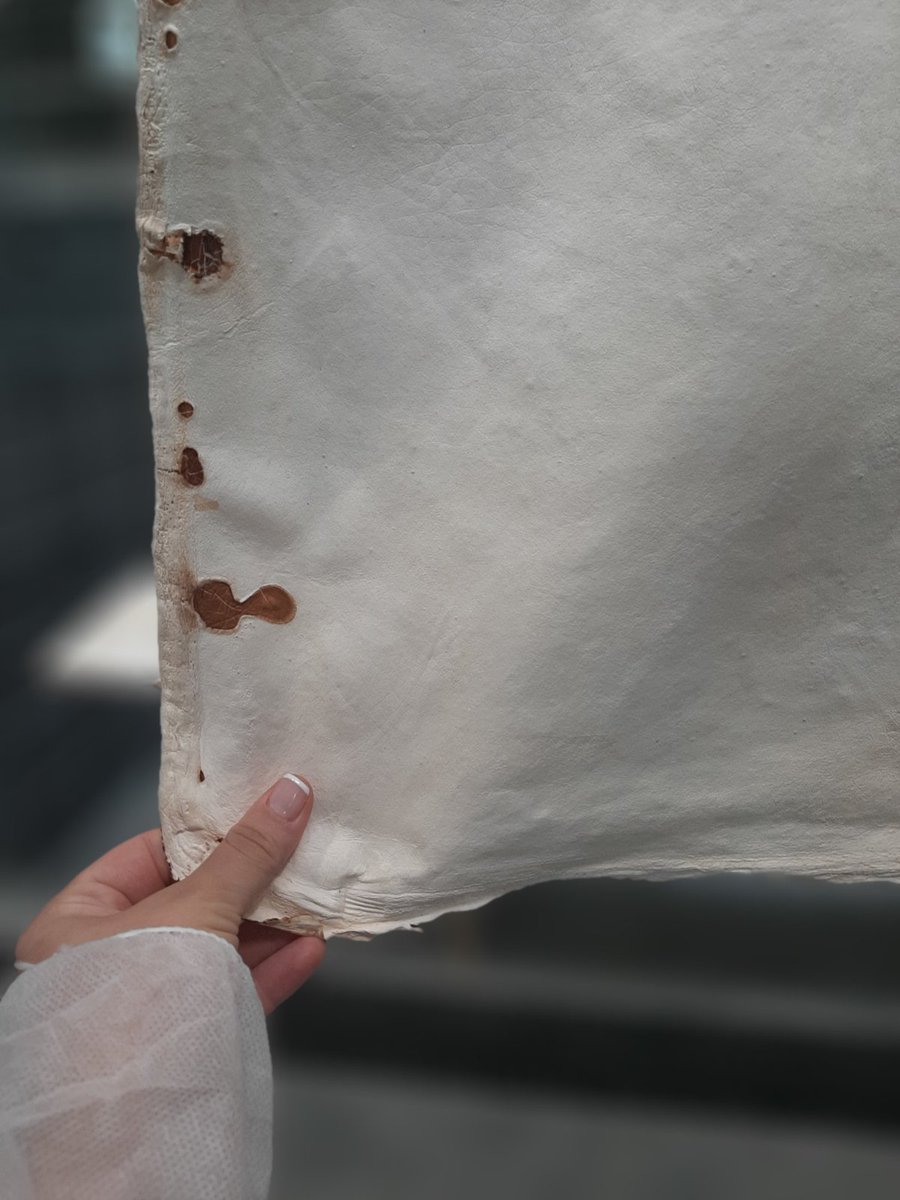 AxiaInnovation's tweet photo. @AxiaInnovation visited Bayeux in a 2-day #meeting for the @MYFI_h2020! 
We had the opportunity to visit France Croco to see the #mycelium-based materials produced on a pilot scale!
Read more: https://t.co/z7KUq7k1zi
Check here! https://t.co/IWNkG39l29
#H2020 #leather https://t.co/sLPN85Nd9r