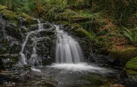 billy_tweet's tweet photo. Cummaghyn ymmodagh shliawin - Tricky plurals

4 ) glione

- glionteenyn ✅
- glionnyn  ❌ 

Ta doggal lane-ve cadjin ayns glionteenyn yn Ellan

Dogging is reasonably common in the Island's glens

#Gaelg #Manx https://t.co/AbccBzN2qY