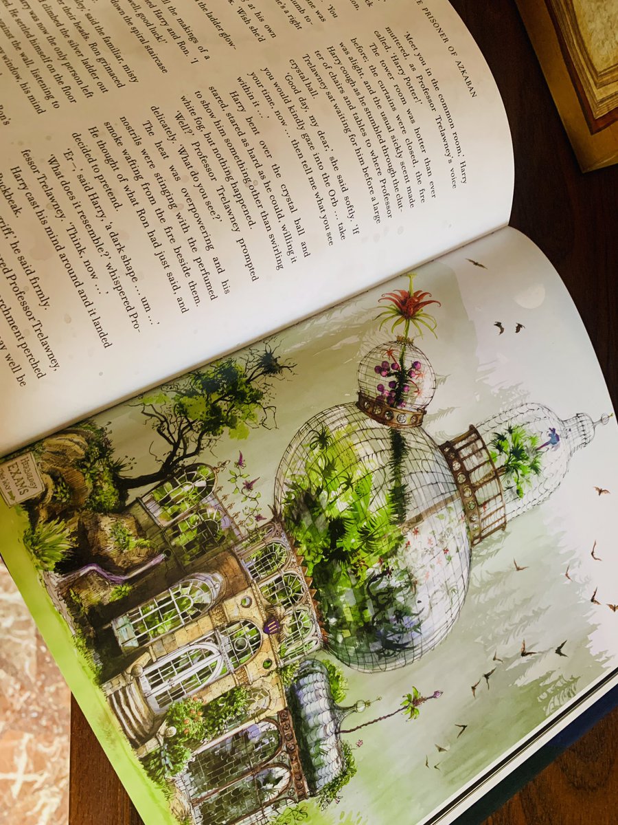Danielofmaine's tweet photo. Mirad qué cosa más bonica me acaba de llegar 💚 ! #harrypotter #jimkay #harrypottertheprisonerofazkaban https://t.co/olcX1iIEKl