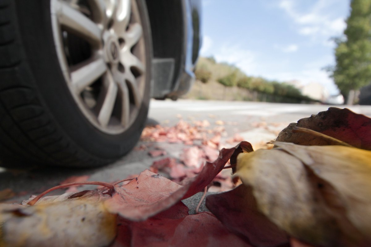 CarReception's tweet photo. Nos encanta el otoño, pero ¿sabías que un tramo de carretera cubierto de hojas mojadas puede ser tan resbaladizo como uno cubierto de nieve?🍂

¡Máxima precaución!⚠️Y si tienes que circular por encima de ellas, reduce la velocidad y evita frenadas bruscas.✅
@DGTes #SeguridadVial https://t.co/Z7EpRQSdjH