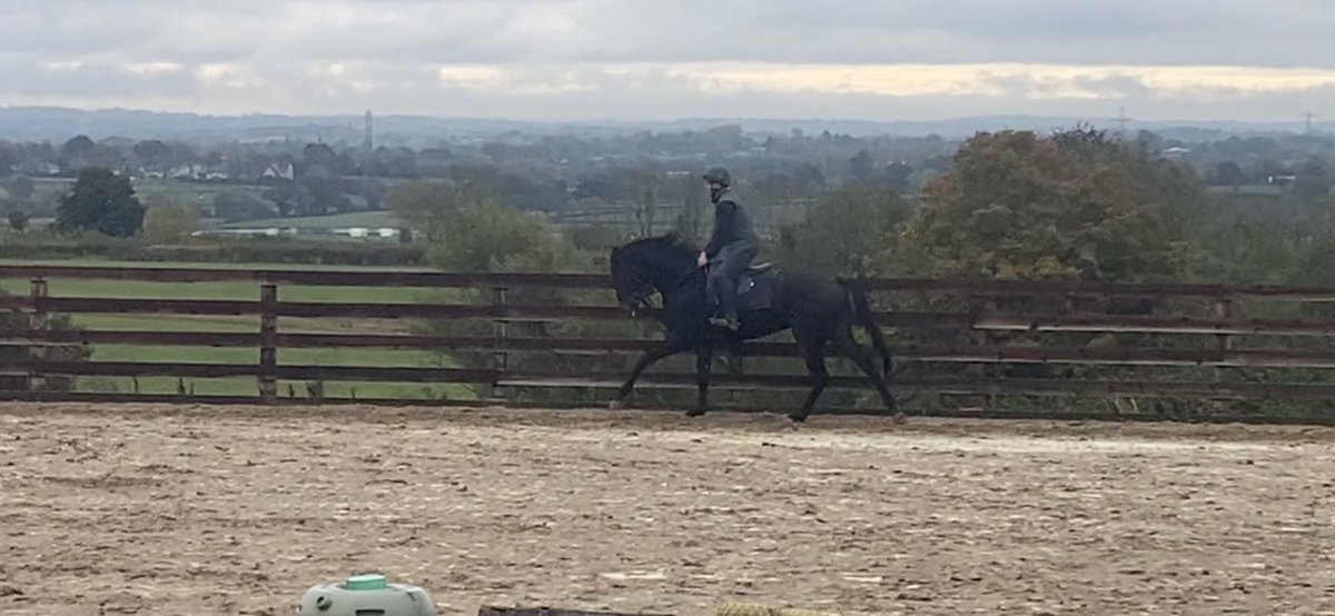 ballybreagh's tweet photo. Hi folks,I’m looking for a rider to cover me for the next 3-4 weeks, from 8:00-13:30, 6 days a week ideally…starting next Monday. It might suit an out-of-season event/jumper rider with plenty of schooling, cantering and jumping to be done.If interested give me a call 07779248613 https://t.co/Aq5loloH7H
