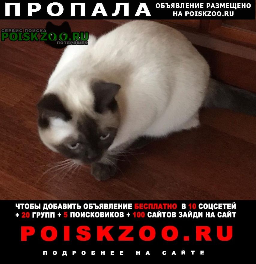 Пропала кошка британец Апрелевка Подробнее по ссылке: poiskzoo.ru/165264 Потерялась кошка, .. октября. Кличка - Яся. Район деревни Афинеево (Апрелевка). Домашняя, осторожная, порода средне ласковая, пугливая. Если у вас есть какая-то информация, свяжитесь, пожалуйста, с на