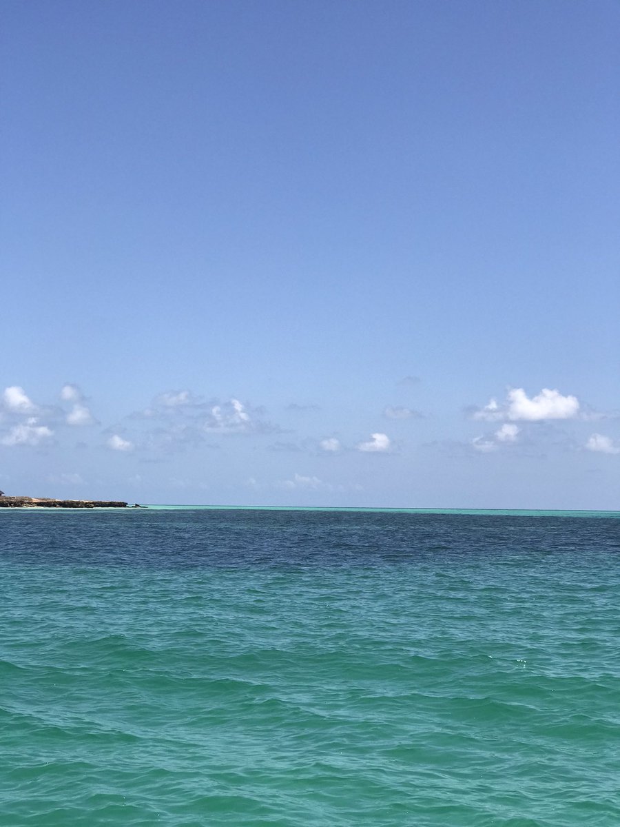 FranceaDjibouti's tweet photo. #RégionSud | Visite des îles #Moucha &amp; #Maskali, avec les cadres 🇩🇯 des Ministères des Affaires Étrangères &amp; de l’Environnement &amp; les équipes @FranceaDjibouti. 
Au programme : échanges sur les enjeux environnementaux, les aires marines protégées, les réserves &amp; parcs naturels🌱🐋 https://t.co/5S0f1M8ImX