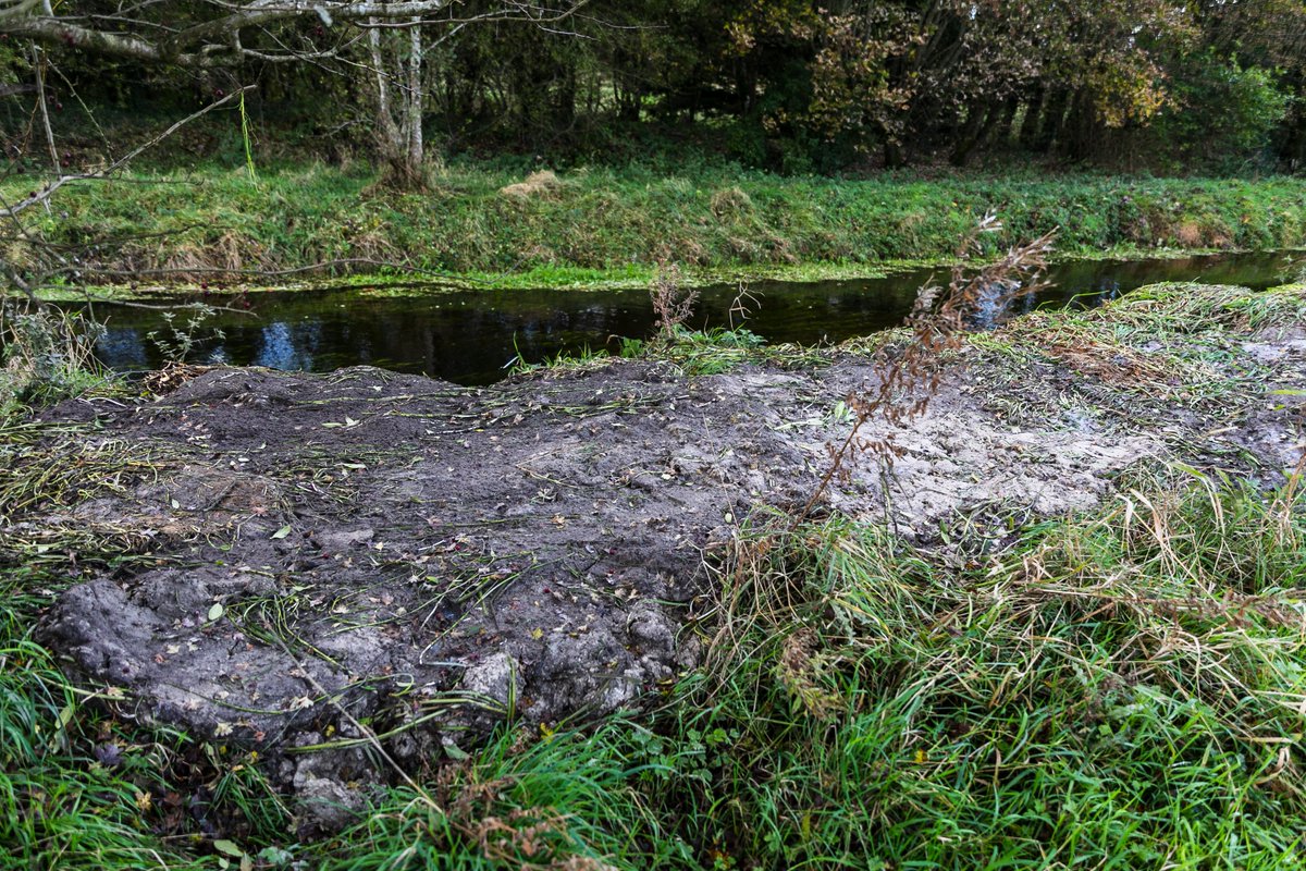 EcofactEcology's tweet image. The @opwireland is currently dredging the River Nanny in Tuam, Co Galway, during the statutory salmonid close season. Silt pollution was observed yesterday - and the source was investigated. This is a spawning tributary of the Lough Corrib SAC (thanks to 'Tuam in Picture').