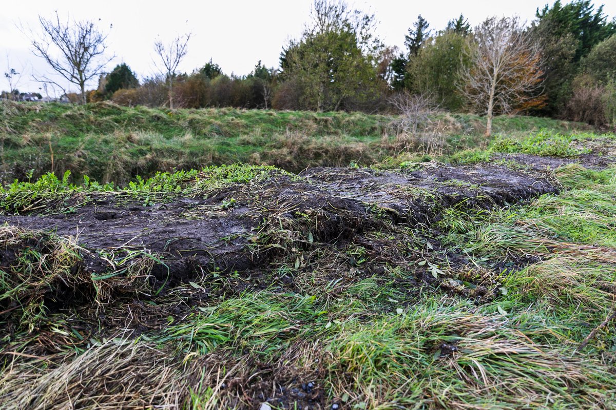 EcofactEcology's tweet image. The @opwireland is currently dredging the River Nanny in Tuam, Co Galway, during the statutory salmonid close season. Silt pollution was observed yesterday - and the source was investigated. This is a spawning tributary of the Lough Corrib SAC (thanks to 'Tuam in Picture').