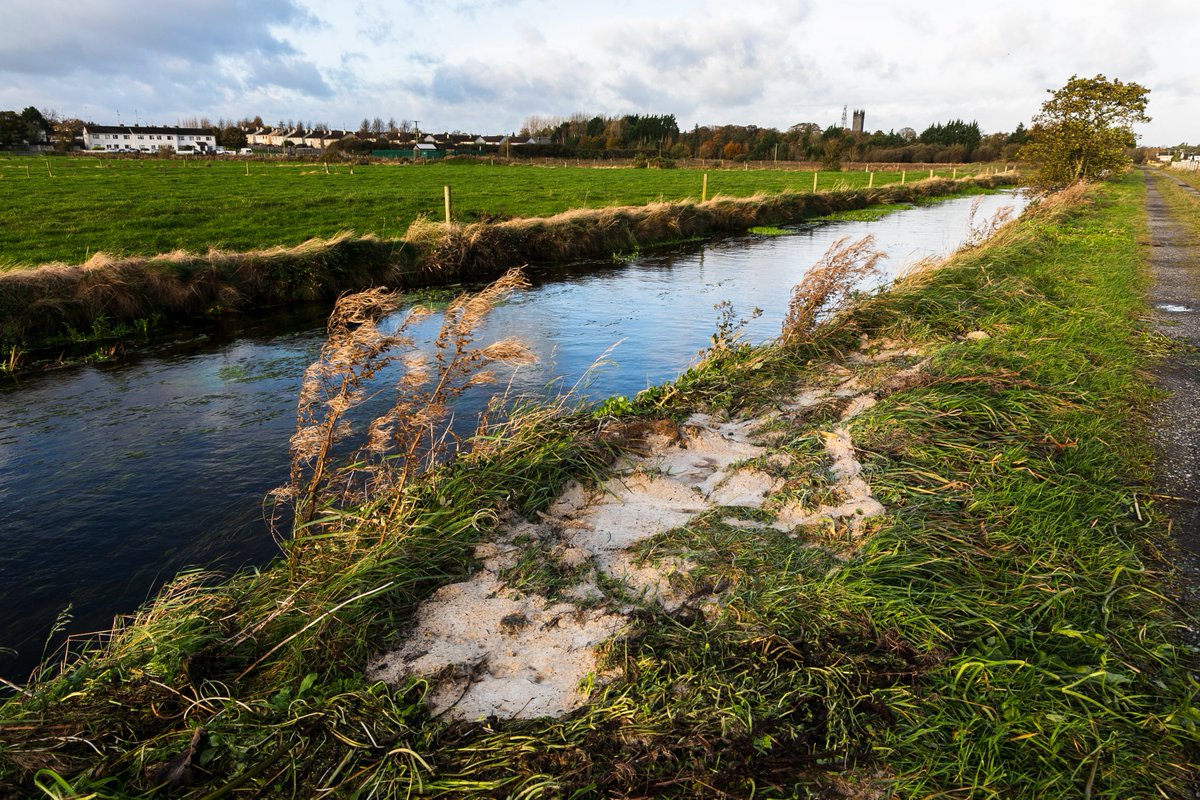 Ecofact (@ecofactecology) on Twitter photo The <a href="/opwireland/">Office of Public Works</a> is currently dredging the River Nanny in Tuam, Co Galway, during the statutory salmonid close season. Silt pollution was observed yesterday - and the source was investigated. This is a spawning tributary of the Lough Corrib SAC (thanks to 'Tuam in Picture'). The <a href="/opwireland/">Office of Public Works</a> is currently dredging the River Nanny in Tuam, Co Galway, during the statutory salmonid close season. Silt pollution was observed yesterday - and the source was investigated. This is a spawning tributary of the Lough Corrib SAC (thanks to 'Tuam in Picture').