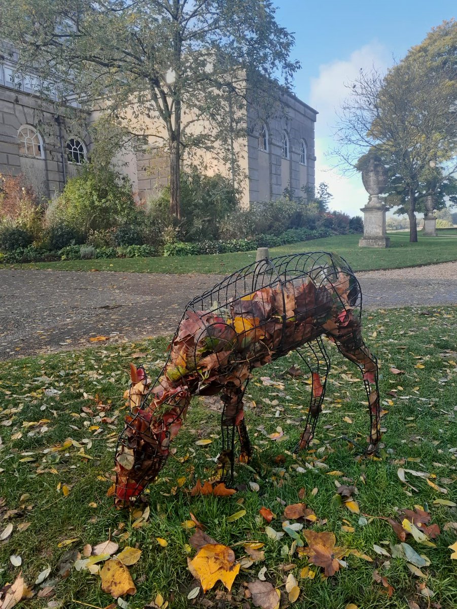 This #HalfTerm holiday have colour catcher fun and help us create wild art. Search out the seasonal colours and different leaf shapes. Collect what you find, then help create deer shaped wild art installation Until Sun 30 Oct, 10am-4pm.📷Sarah Taylor #Petworth #Sussex