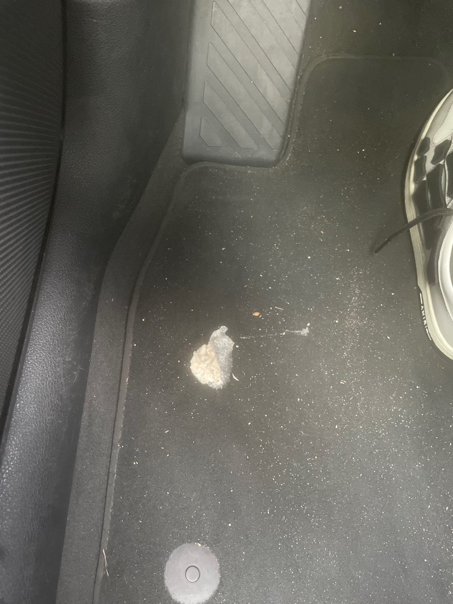 adfsamski's tweet photo. Hoe breng je kankwr kauwgom op me kanker mat kanker dierenmens tfouuuu https://t.co/eDvO0a5na9