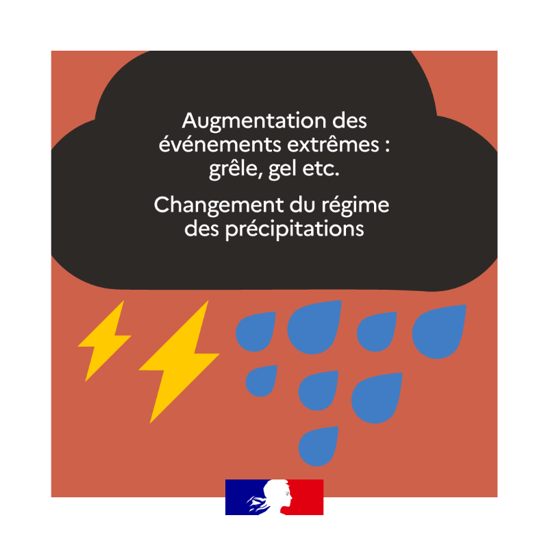 Agri_Gouv's tweet photo. Le #ChangementClimatique est une réalité qui s’impose à tous, mais quels sont ses effets sur les système agricoles ? 🚜🌾 La réponse en images dans votre rendez-vous du #JeudiInfographie ⤵