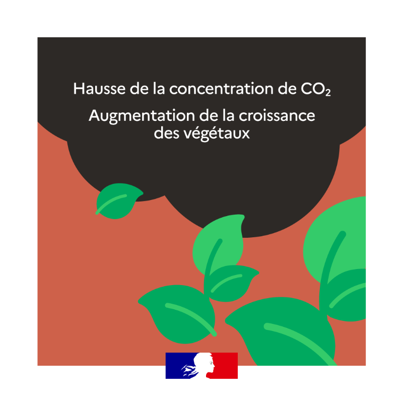 Agri_Gouv's tweet photo. Le #ChangementClimatique est une réalité qui s’impose à tous, mais quels sont ses effets sur les système agricoles ? 🚜🌾 La réponse en images dans votre rendez-vous du #JeudiInfographie ⤵