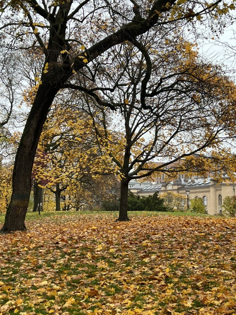 ד״ר עינת וילף Dr. Einat Wilf tweet media