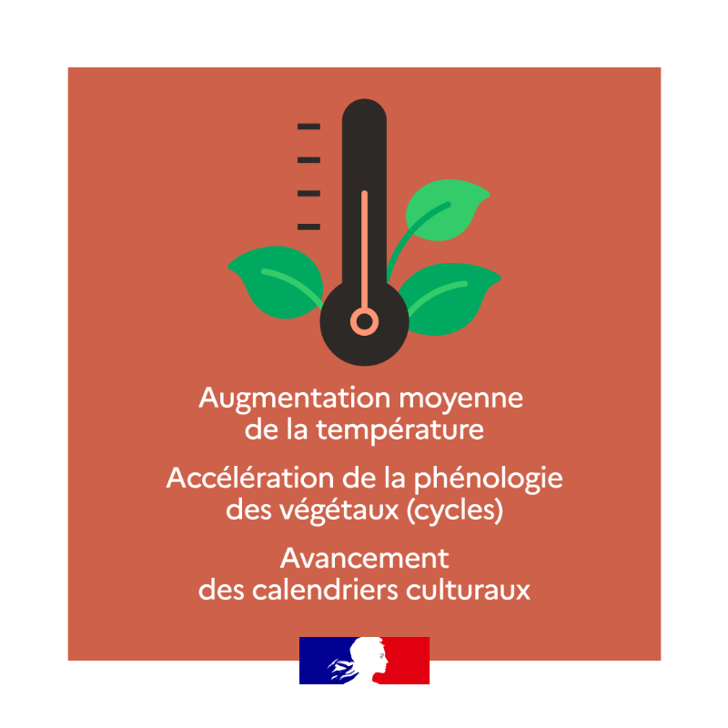 Agri_Gouv's tweet photo. Le #ChangementClimatique est une réalité qui s’impose à tous, mais quels sont ses effets sur les système agricoles ? 🚜🌾 La réponse en images dans votre rendez-vous du #JeudiInfographie ⤵
