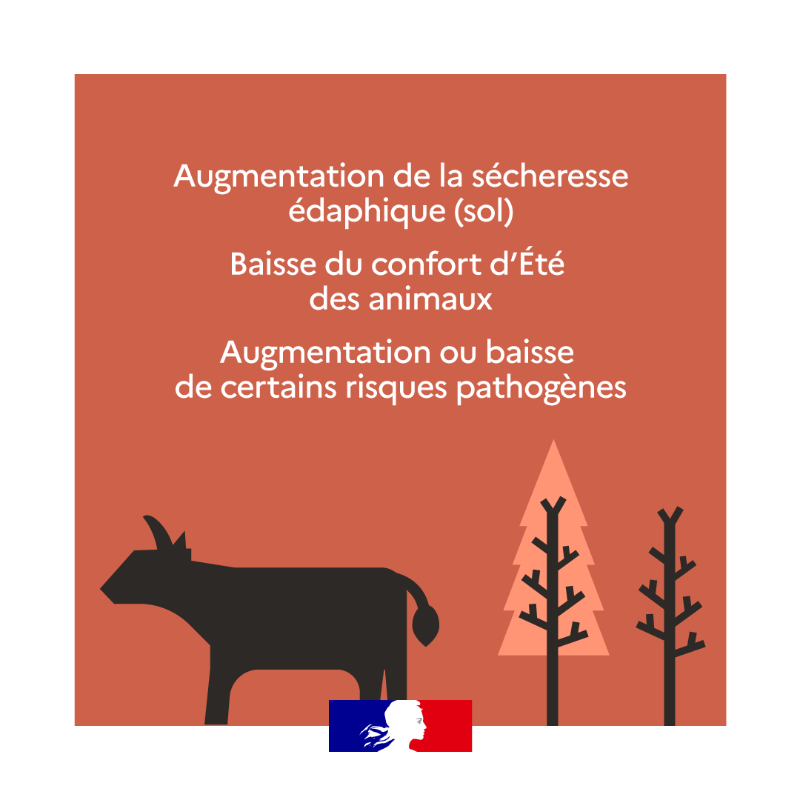 Agri_Gouv's tweet photo. Le #ChangementClimatique est une réalité qui s’impose à tous, mais quels sont ses effets sur les système agricoles ? 🚜🌾 La réponse en images dans votre rendez-vous du #JeudiInfographie ⤵