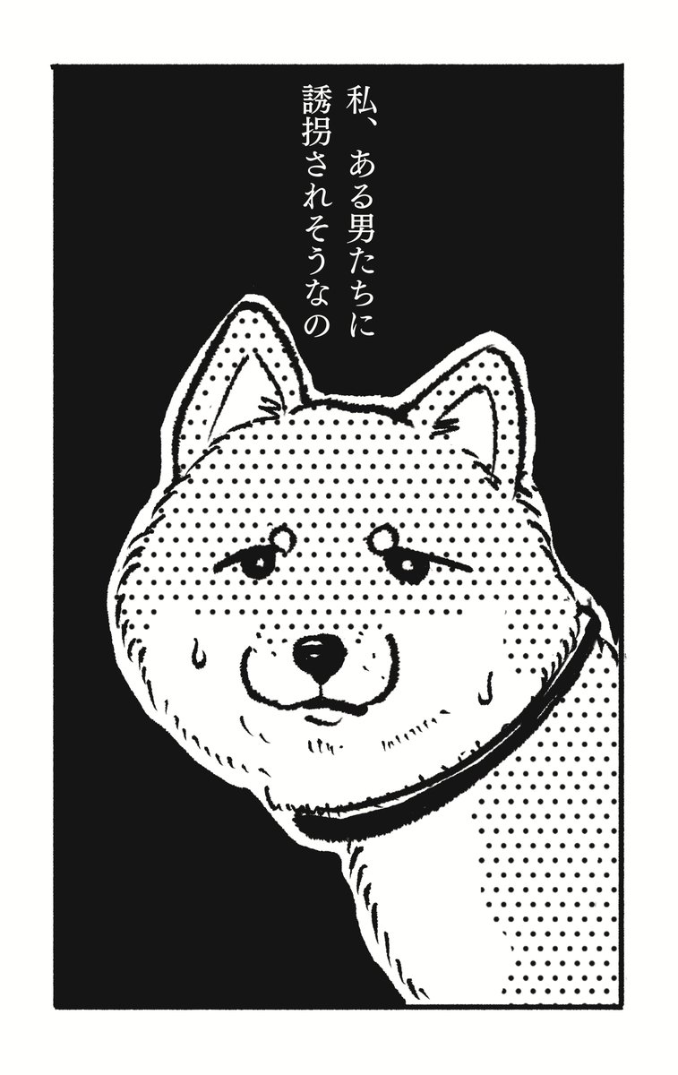 飼い主が好きな柴犬が奮闘するお話です。(1/4)

#漫画がよめるハッシュタグ 