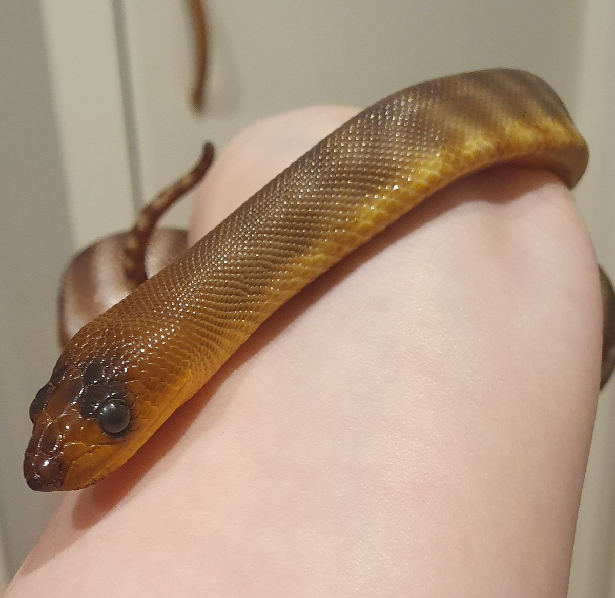 Subyssal's tweet photo. Lucky you're cute, because you're not winning any prizes for your personality. https://t.co/rxQ8wCkL6v