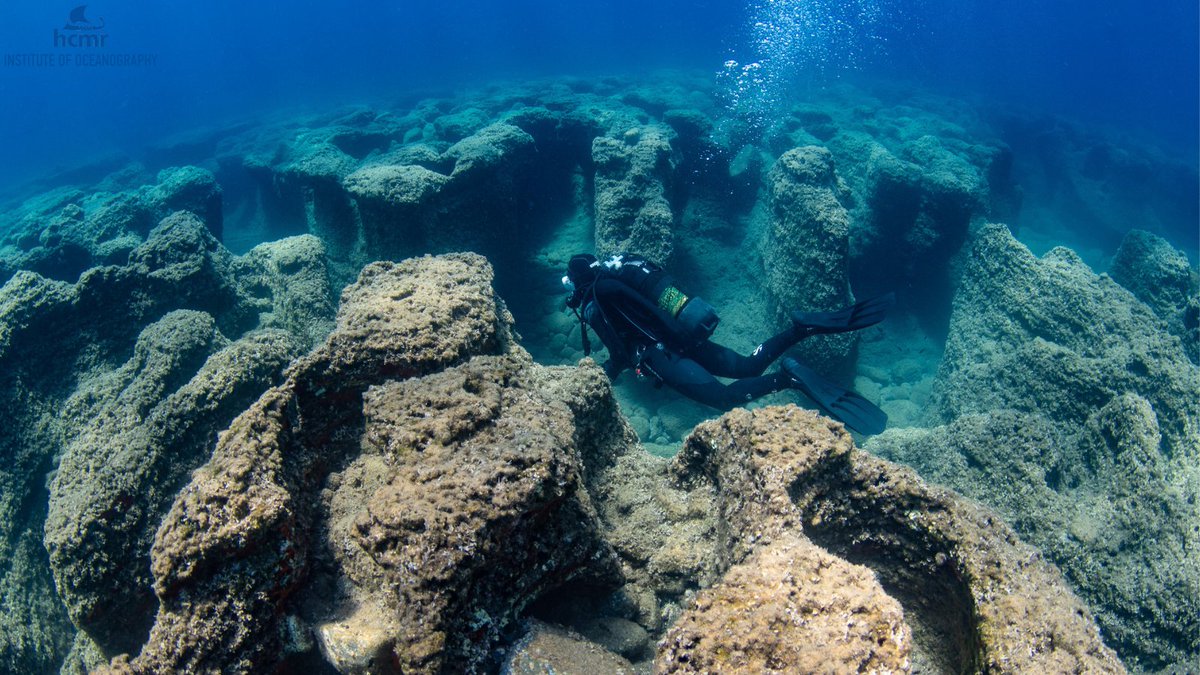 HcmrInOcean's tweet photo. 🪨 Rocky formations, covering about 70% of the inner-rim coastline, are the dominant #underwaterhabitat in the #Caldera, most typically consisting of steep sloping cliffs,continuous rocky platforms,outcrops,or variously-sized boulders..
➡️https://t.co/sMhBlmYEGd
#MoNaproject https://t.co/ApD9tiifJm