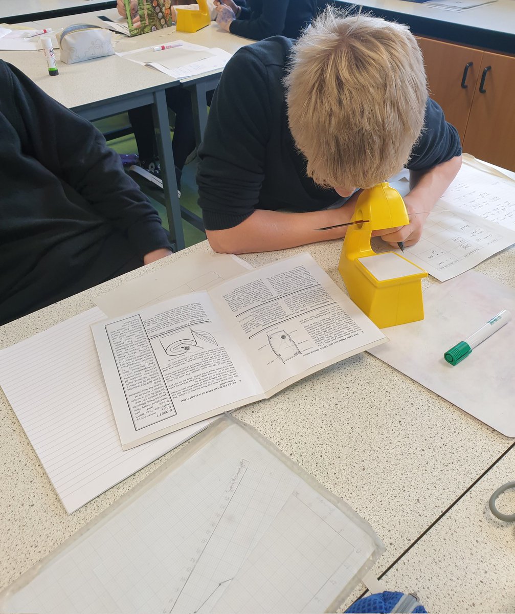 S3's kicking off the Biomedical Science topic with bioviewers 👀🔬
<a href="/knoxacademy/">Knox Academy</a>