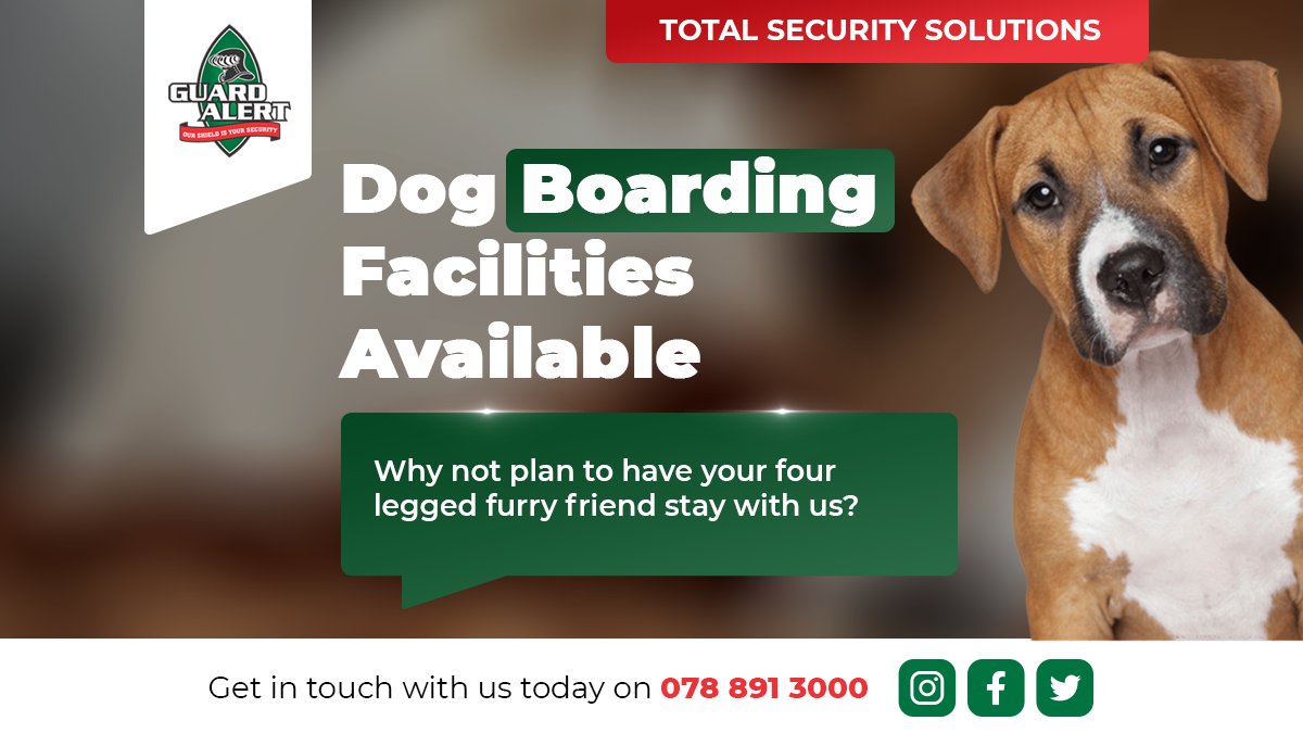 Guard-Alert Security tweet media