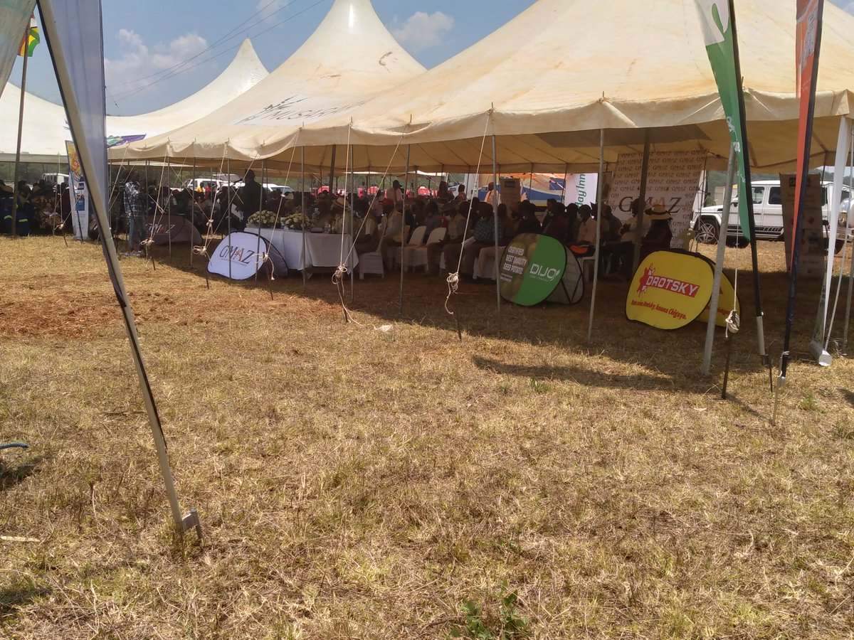 Terence F. Ngwenya tweet media