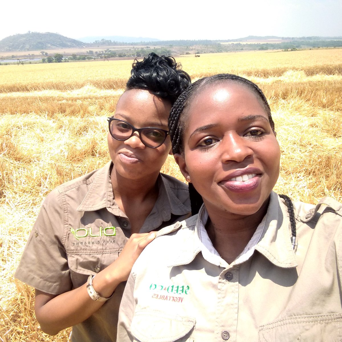 Terence F. Ngwenya tweet media