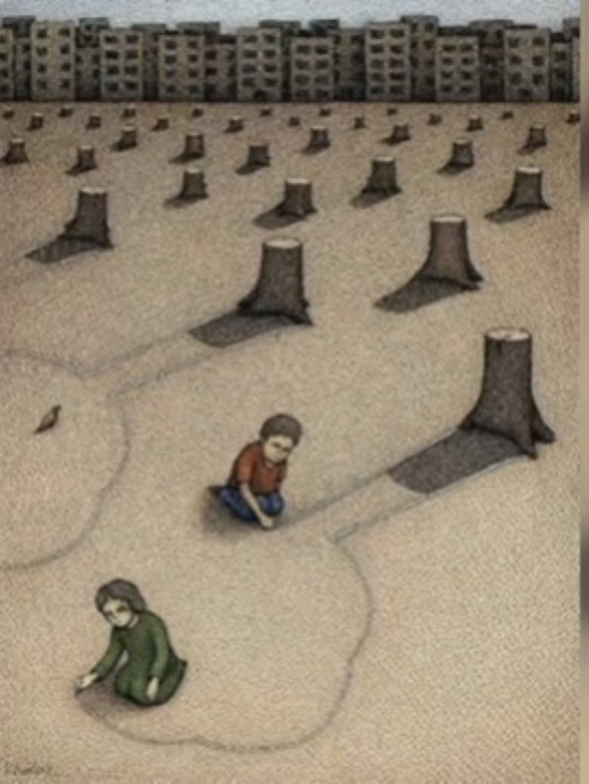 shanuibraheem's tweet image. #importanceoftrees