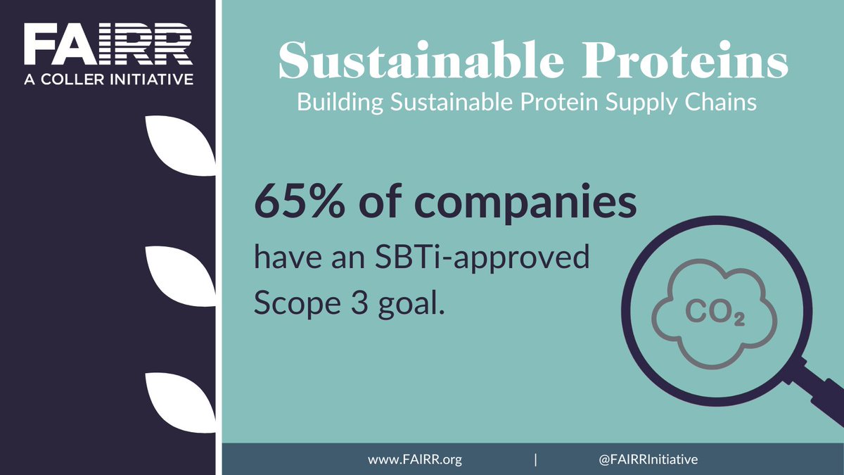 FAIRRInitiative's tweet photo. We are delighted to have launched Climate Transition Proteins progress report, which outlines the latest findings from the Sustainable Proteins engagement!

Download the report and explore our latest findings on our website: https://t.co/RRkryfF78x. https://t.co/ysOZEVczUe