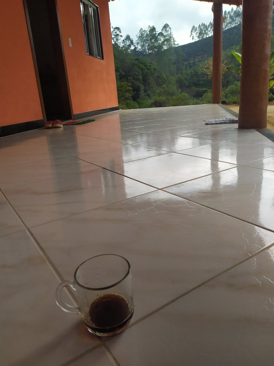 Booommm diiiiaaaaa Brasil 🇧🇷